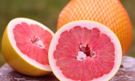 Was ist eine Pomelo? Die süße Alternative zur Grapefruit!