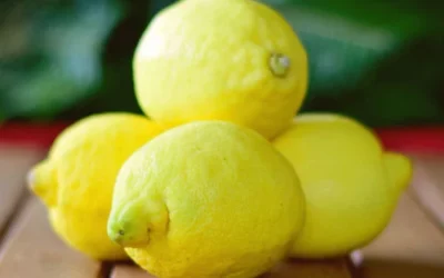 Was ist eine Zitrone? Der perfekte Begleiter für eine gesunde Ernährung!
