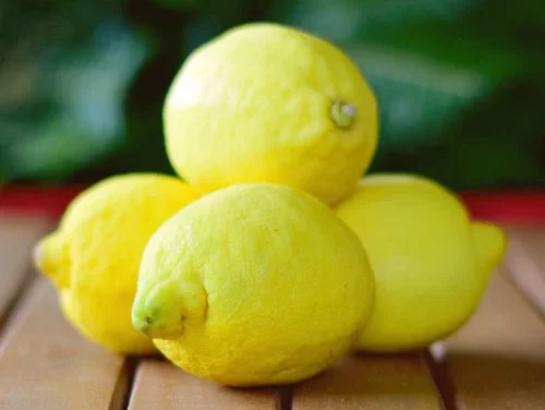 Was ist eine Zitrone? Der perfekte Begleiter für eine gesunde Ernährung!