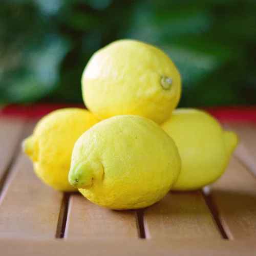 Nährwerte: Was ist eine Zitrone