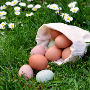 Wie lange halten Eier und wann sind Eier schlecht? | Kleine Prise