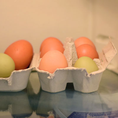 Wie lange halten Eier im Kühlschrank