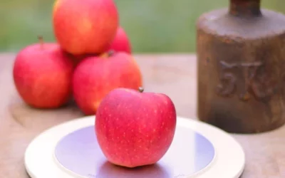 Wie viel wiegt ein Apfel? Wie du das Gewicht eines Apfels leicht und schnell bestimmen kannst!