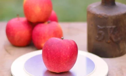 Wie viel wiegt ein Apfel? Wie du das Gewicht eines Apfels leicht und schnell bestimmen kannst!
