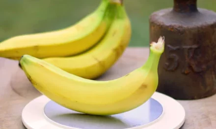 Wie viel wiegt eine Banane? Alles, was du über das Bananengewicht wissen musst!