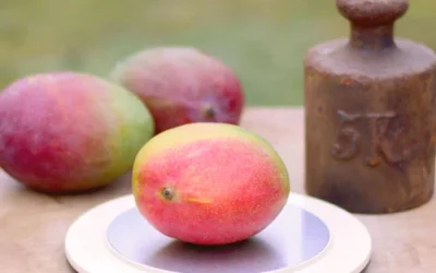Wie viel wiegt eine Mango? Warum das Gewicht eine wichtige Rolle spielt!