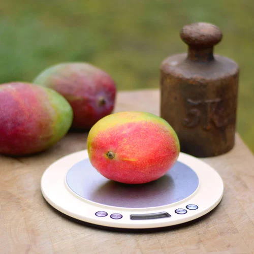 Nährwerte: Wie viel wiegt eine Mango?